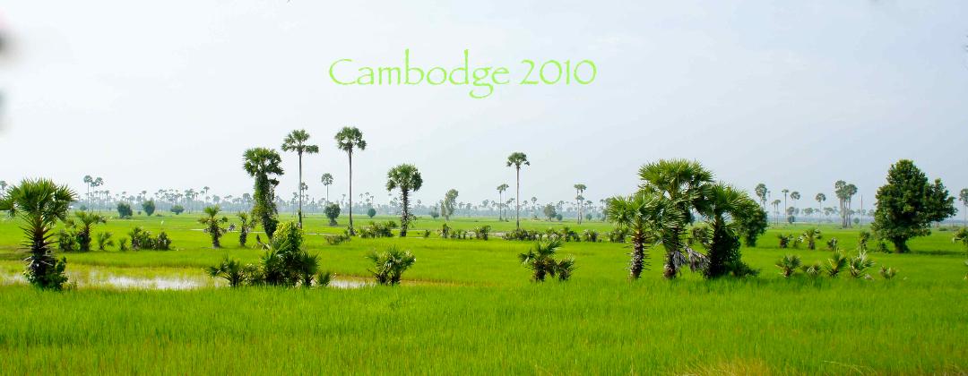 Descriptifs d’un voyage au Cambodge en 2010