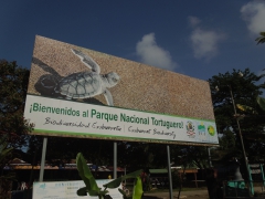 Tortuguero