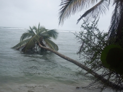 Cahuita