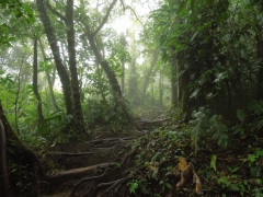 Cerro Chato Trail