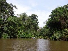 Tortuguero