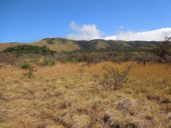 Parque National Rincon de la vieje