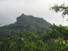 El Yunque