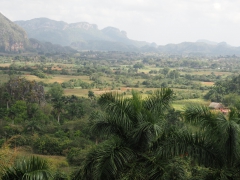 Viñales
