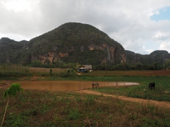 Viñales