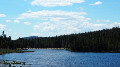 Laurentides, Parc national de Jacques Cartier 