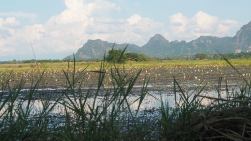 Hpa-An