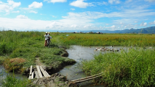 Lac Inle
