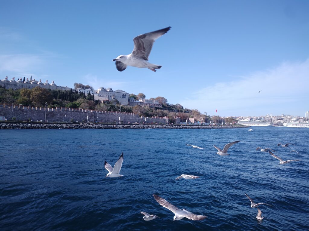 Croisière sur le Bosphore